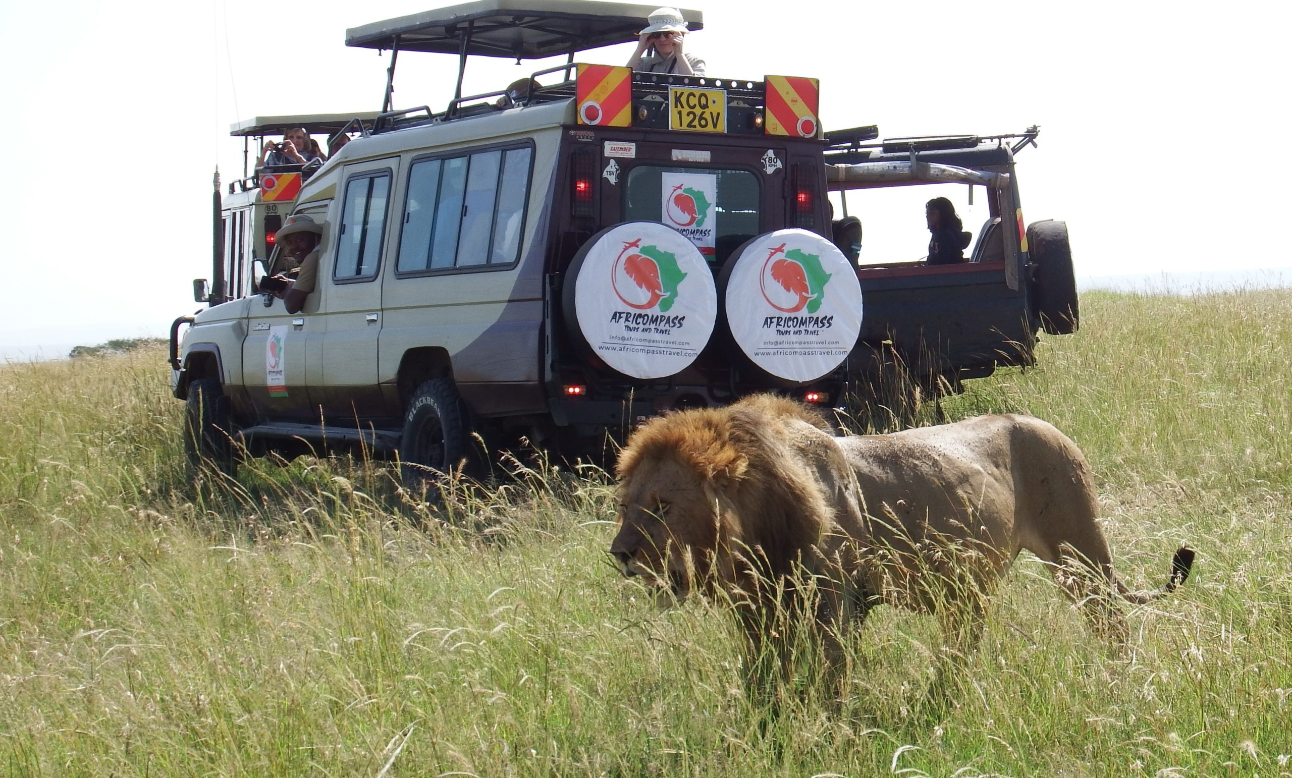 masai mara kenya