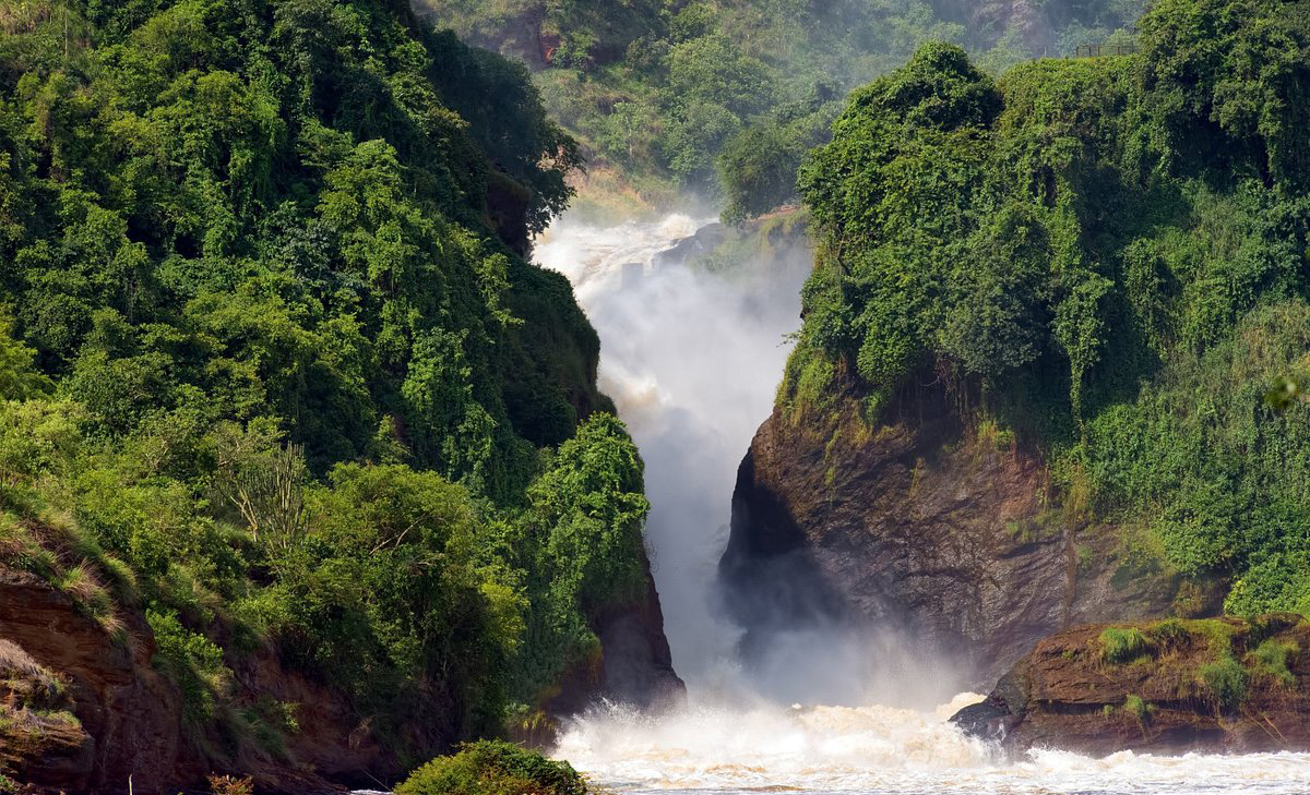 Murchison Falls National Park in 3 days