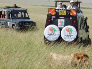 maasai mara kenya safari costs