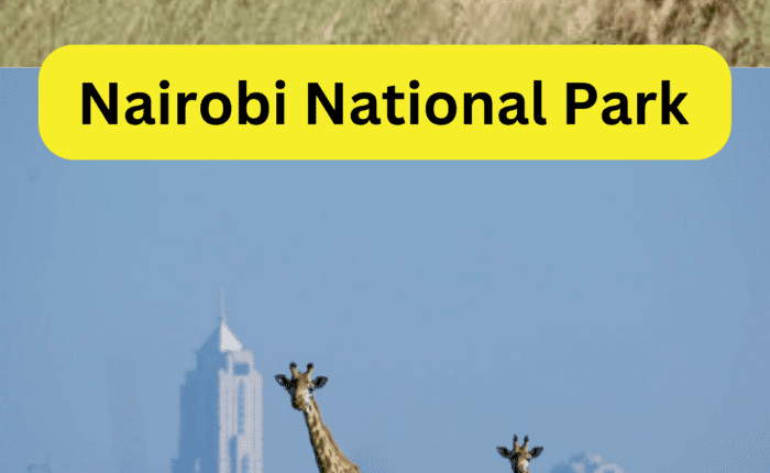 Nairobi national park entrance fees