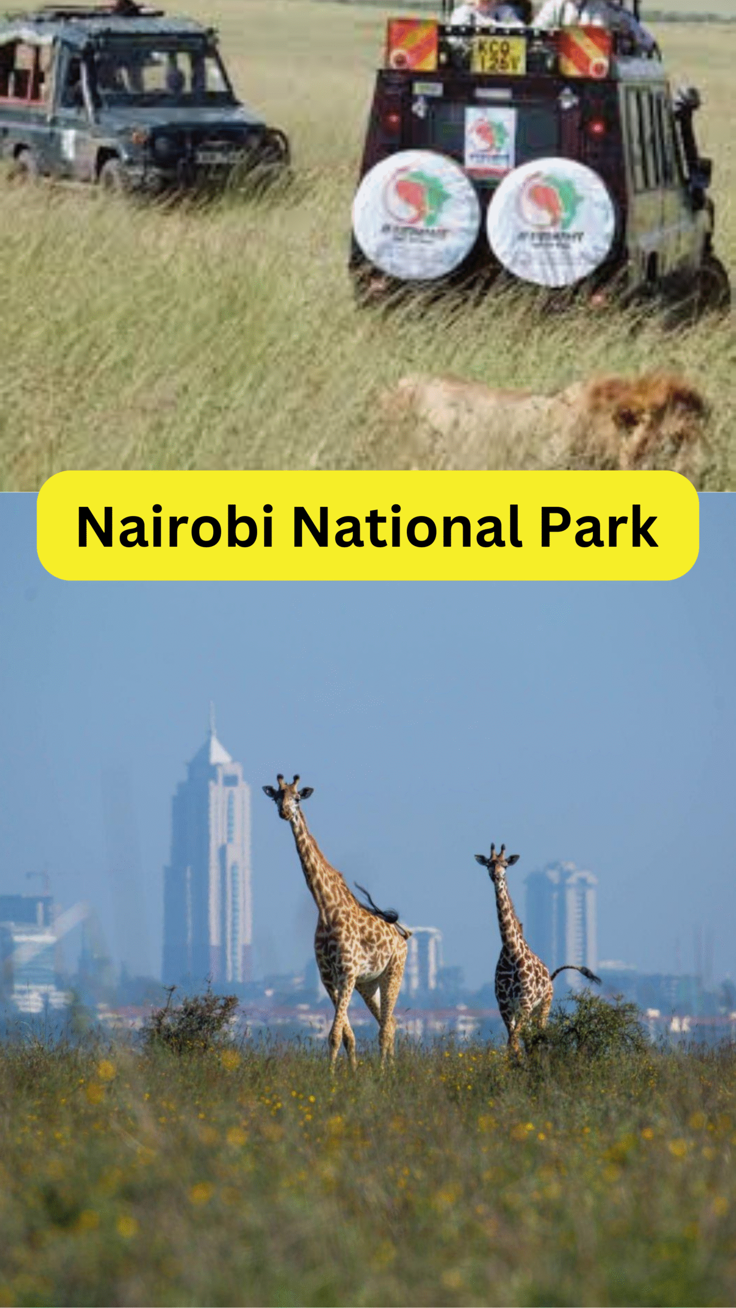 Nairobi national park entrance fees