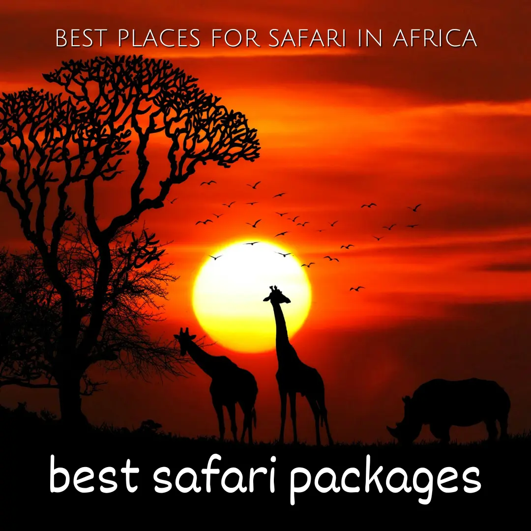 kenya safari packages
