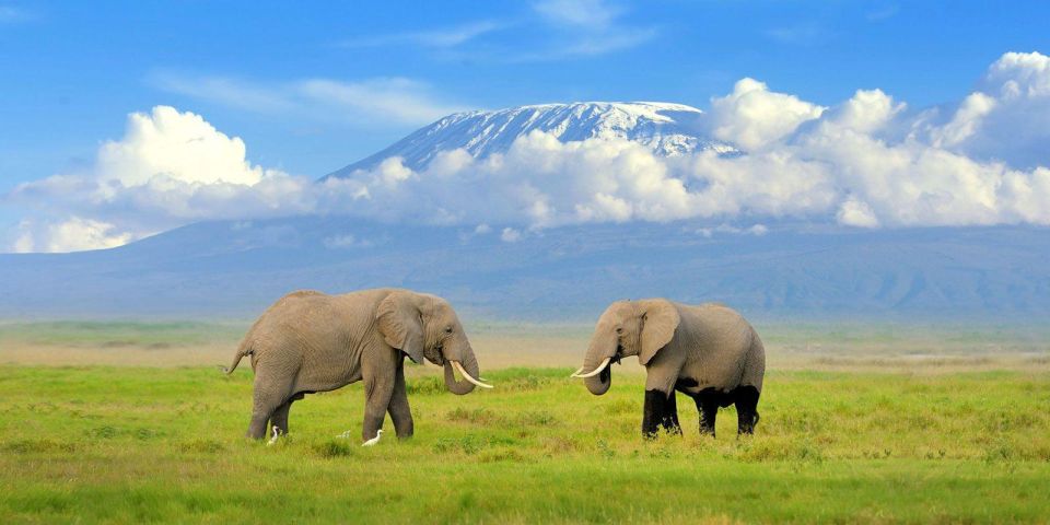 amboseli