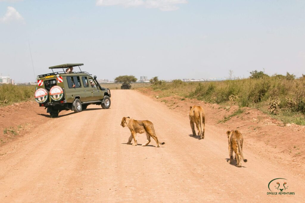 Lions Nairobi