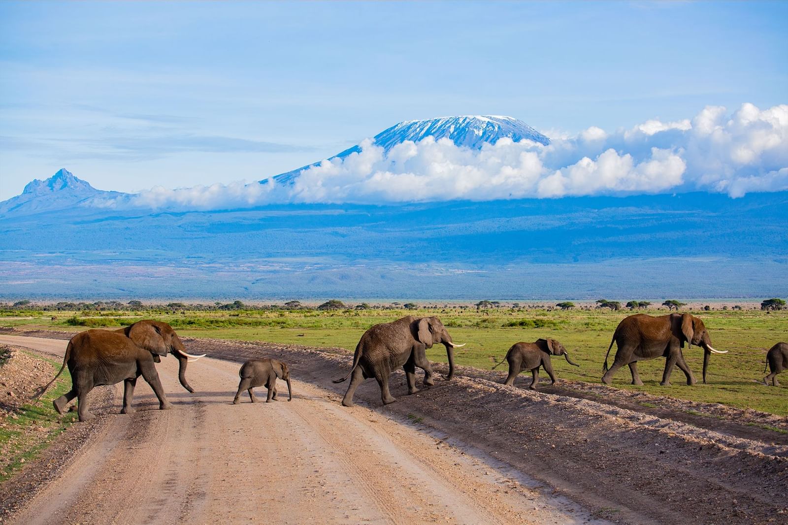 Amboseli safaris Africompass tours