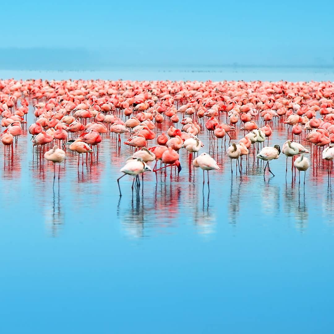 Couple enjoying a private morning on safari
