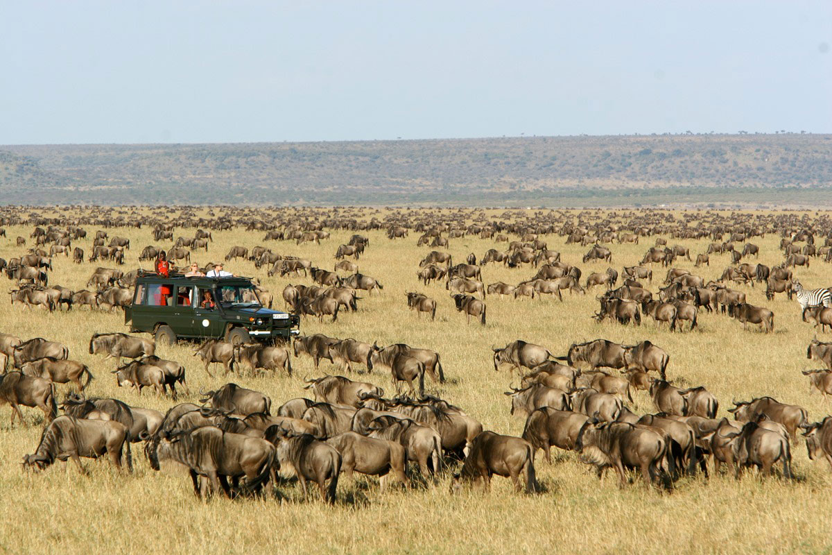 lake nakuru africompass (2)