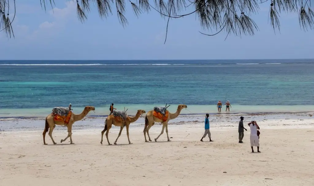 Mombasa beach in Kenya