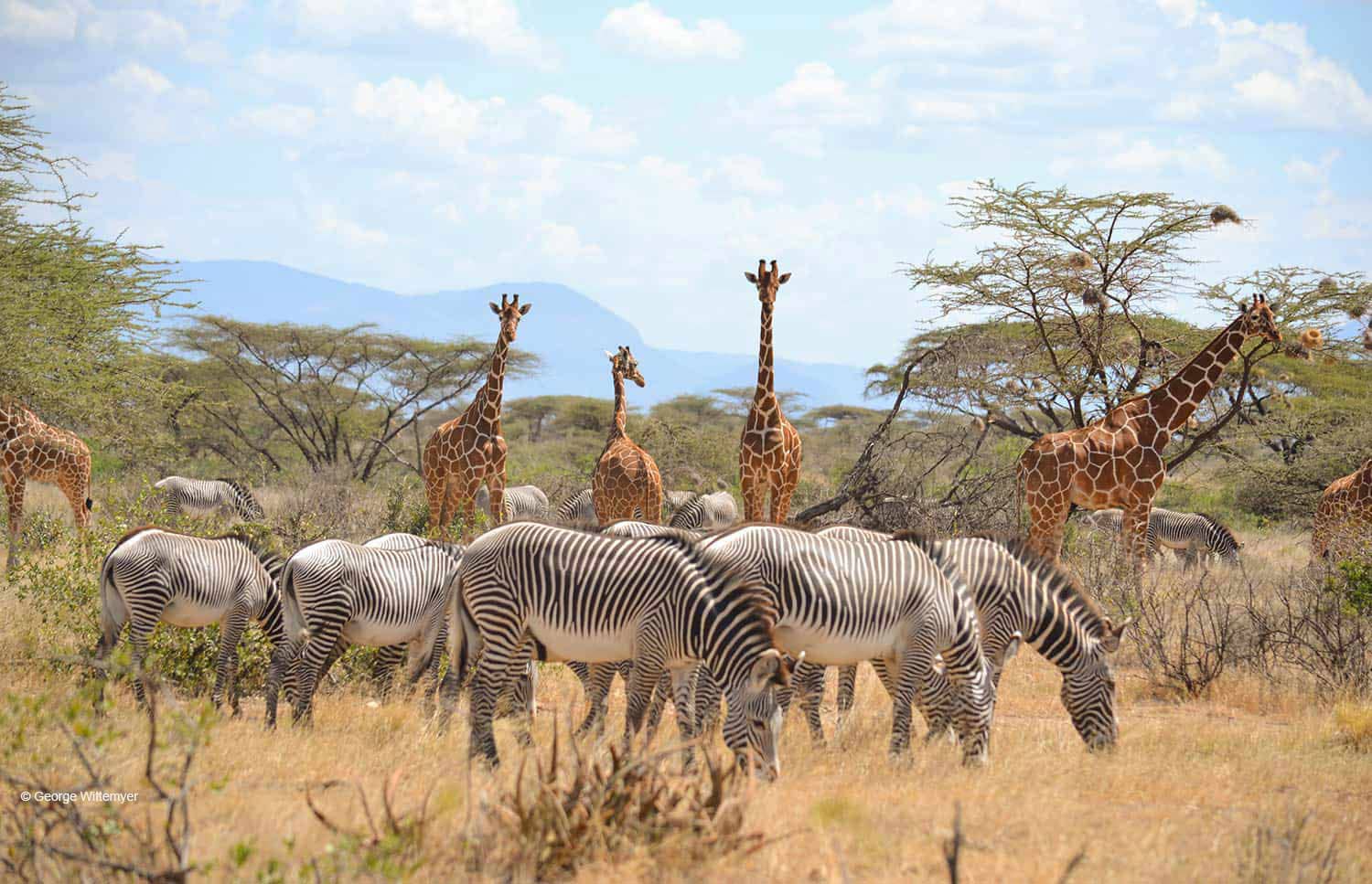 Samburu-National-Park africompass