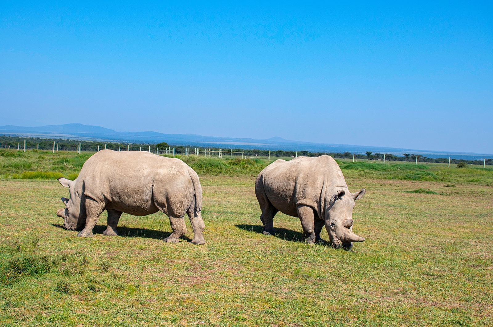 sweet water safari-africompass