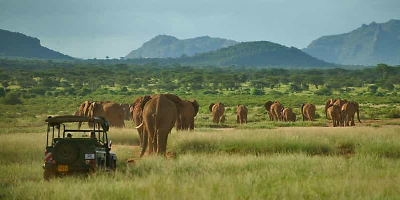 sweetwater safari