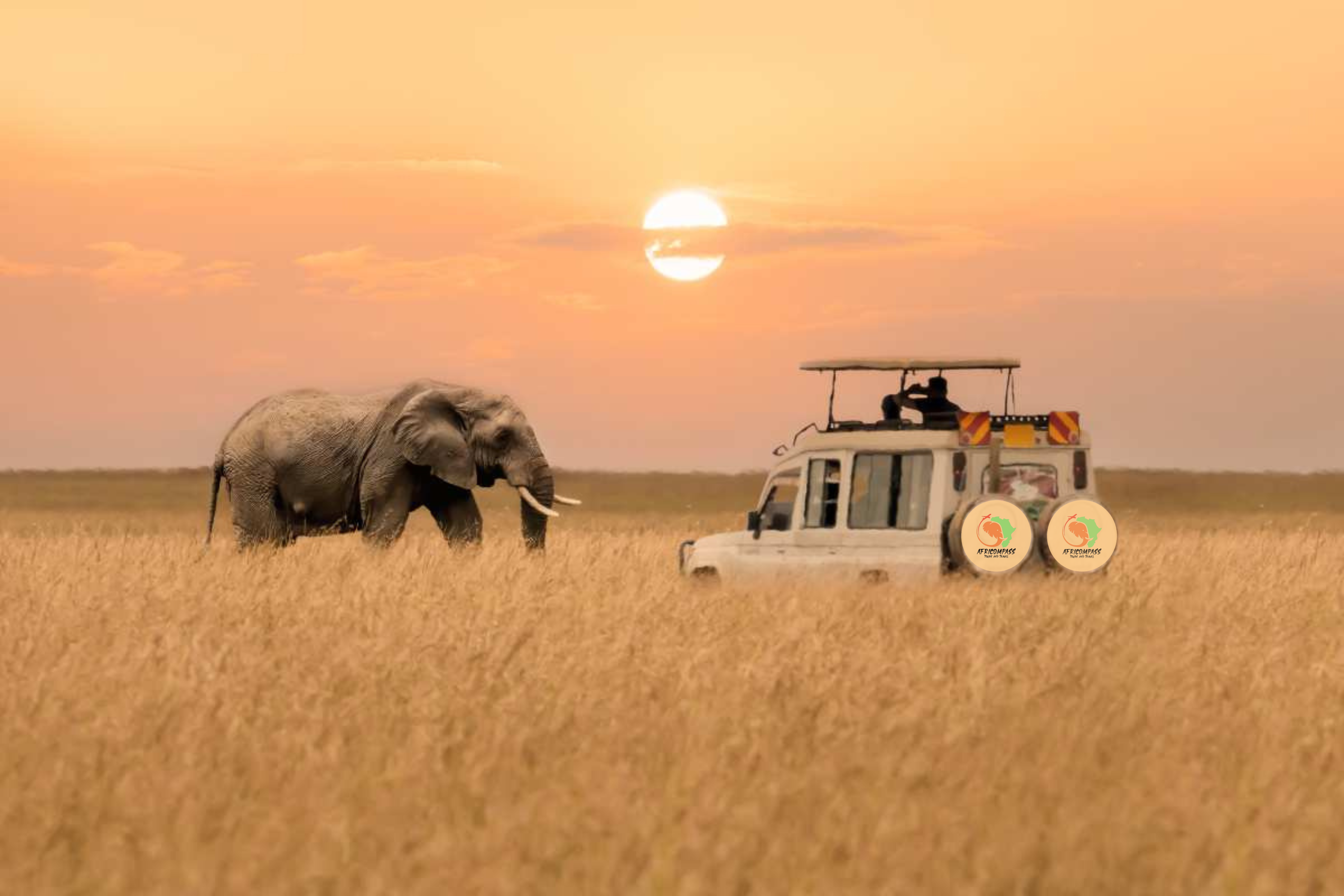 Elephant and safari tourist van in Kenya