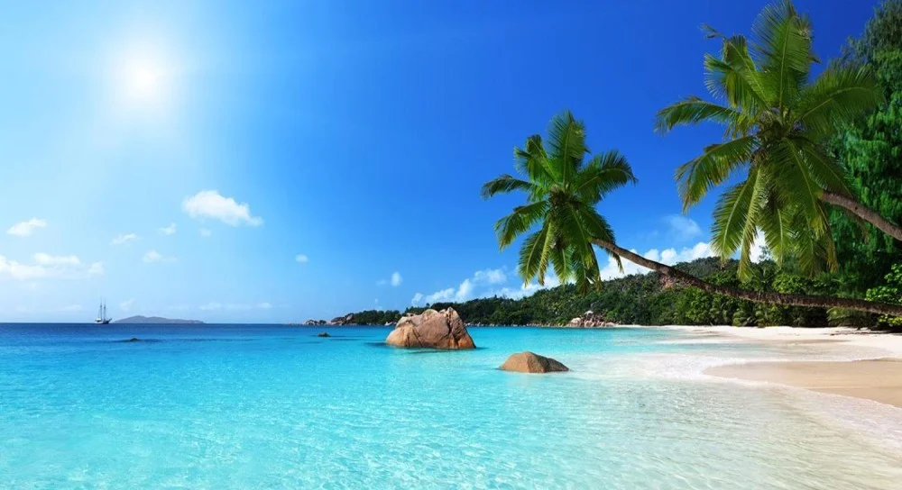 Couples relaxing by the ocean after safari