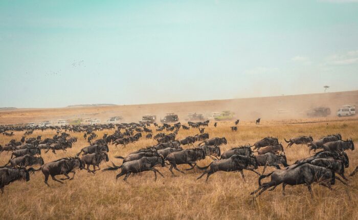 harshil gudka aKcVSSDotgo unsplash 2