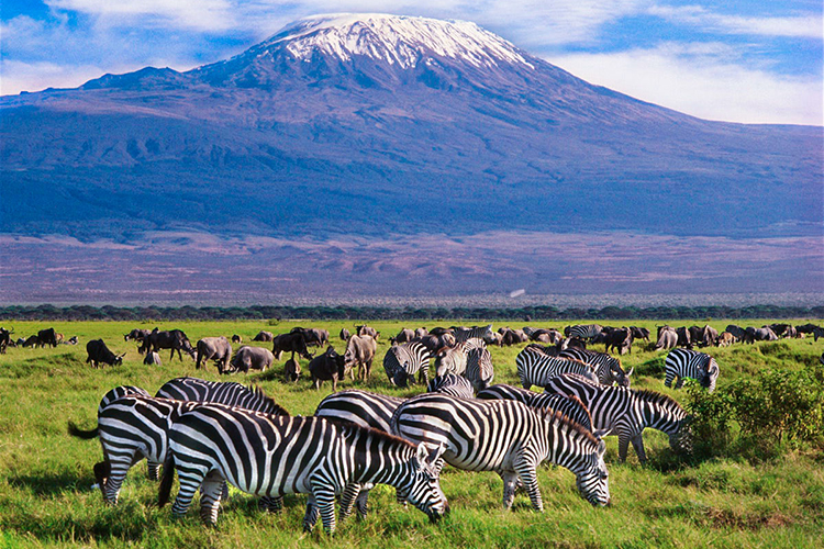 Amboseli National Park landscape